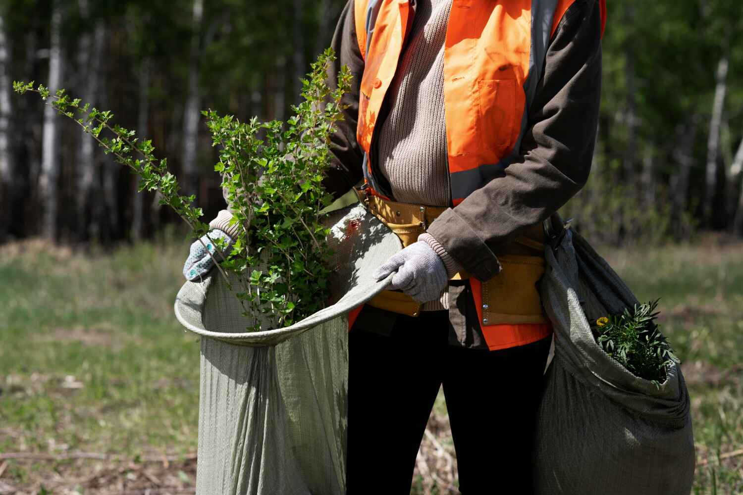 Best Tree Stump Removal  in Westwood Lakes, FL